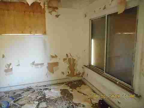 14290 Kentucky (6)_m.jpg